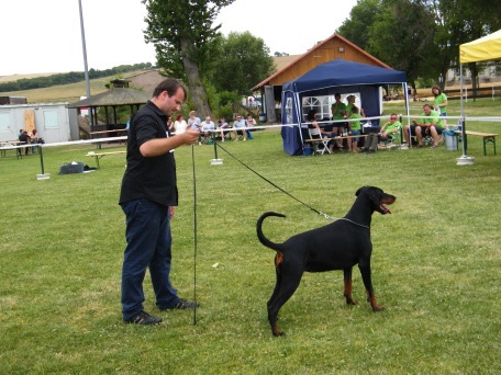 Gracia Stella di Campovalano - Lars Bücker - Dobermann